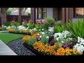 Small Space Pollinator Garden Ideas That Bring Bees and Butterflies All Summer