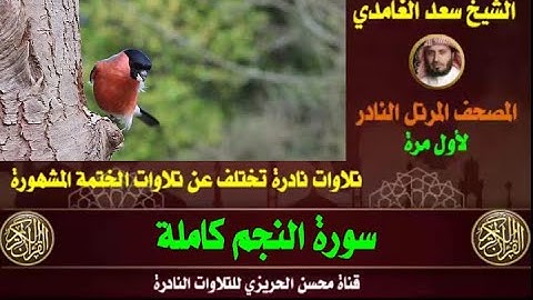 الشيخ سعد الغامدي سورة النجم تلاوة نادرة وقديمة من تلاوات صلاة القيام مختلفة عن الختمة الأصلية