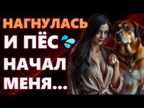 Я НЕ ОЖИДАЛА, ЧТО МОЙ СОБАКА СТАНЕТ МОЕЙ ЛЮБОВЬЮ… НО Я НЕ МОГЛА ПРОТИВОСТОЯТЬ