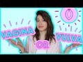 Vagina VS Vulva: what&#39;s the difference?