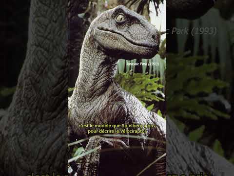 🦖 Et si on vous disait que le célèbre raptor de Jurassic Park n'est pas un vélociraptor....!