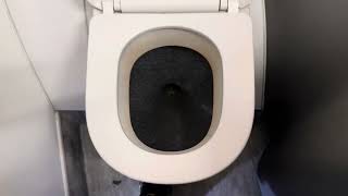 Delta Airlines A321 Flight 386 Toilet