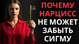 картинка: Почему нарцисс не может забыть Сигму