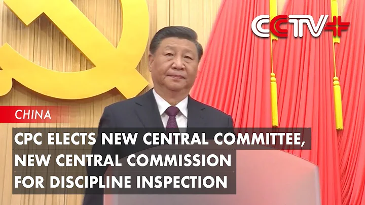 CPC Elects New Central Committee, New Central Commission for Discipline Inspection - DayDayNews