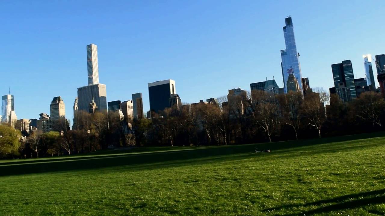 Sheep meadow in Centra Park. from NYC