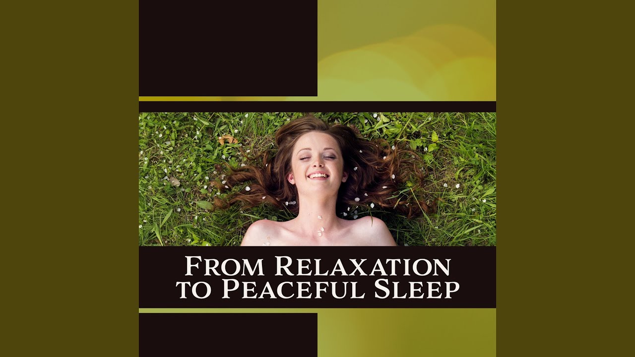 Relax Every Day YouTube