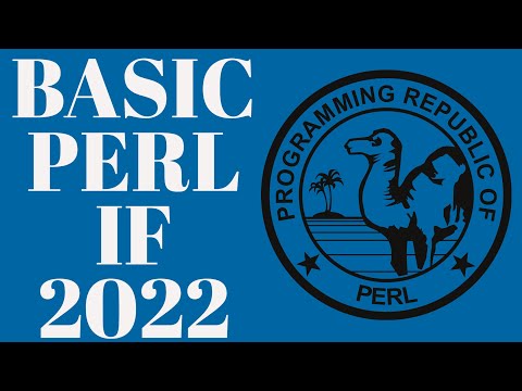 Perl Programming If