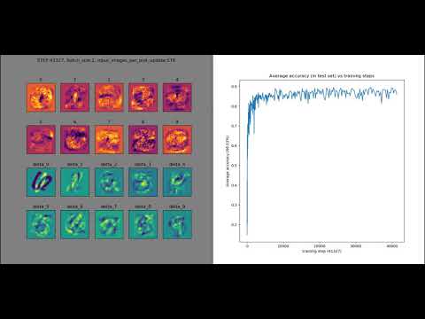 Perceptrons learning to classify handwritten digits