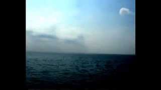 Крым.Приехали в Мирный.Чайки воровки и собаки в море Крым.Приехали в Мирный.Чайки воровки и собаки в море