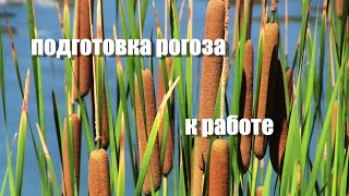 :  ,    .