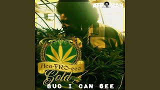 Bud I Can See