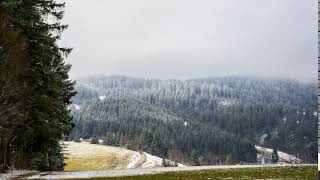 248 Time Lapse Black Forest Winter Snow Meadow | Zeitraffer Schwarzwald Schnee Wiese Schmelzen 4K