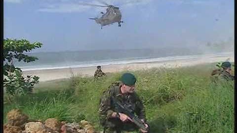 Royal Marines