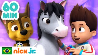 Patrulha Canina| 1 hora de Patrulha Canina salvando animais! | Nick Jr. em Português screenshot 4