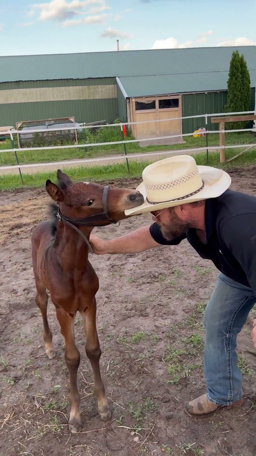 Horse Baby Loves Chewing A Hat || ViralHog
