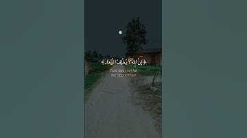 القارئ : عبد الرحمن مسعد﴿ رَبَّنَا إِنَّكَ جَامِعُ النَّاسِ لِيَوْمٍ لَّا رَيْبَ﴾ [ سورة آل عمران