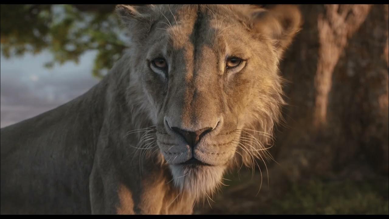 Mufasa: The Lion King| "Legends"| In Theaters December 20 - Exploring the unlikely rise of the beloved king of the Pride Lands, “Mufasa: The Lion King” enlists Rafiki to relay the legend of Mufasa to young lion cub Kiara