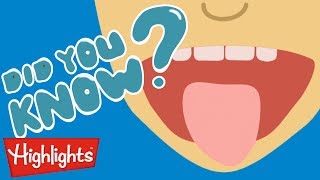 Did you know? All about FOOD! | Highlights Kids | Full Episode | Winter Kids Videos