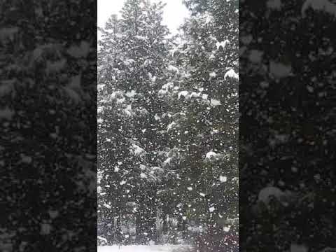 Video: ¿Rathdrum tiene nieve?