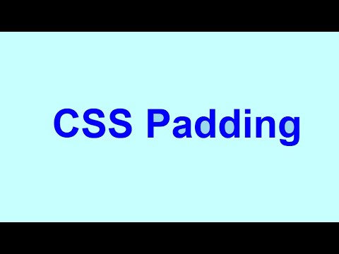 Learning CSS Padding in Detail
