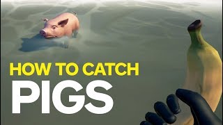 Sea of Thieves - How to Capture a Pig screenshot 1