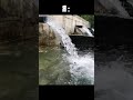 بعضی ها می گویند من موفق نخواهم شد دروغ می گویند