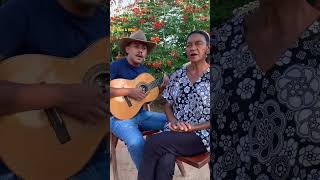 @luiscarlosvioleiro1517 #música raiz #música viola #música caipira #modão sertaneja #viola #raiz