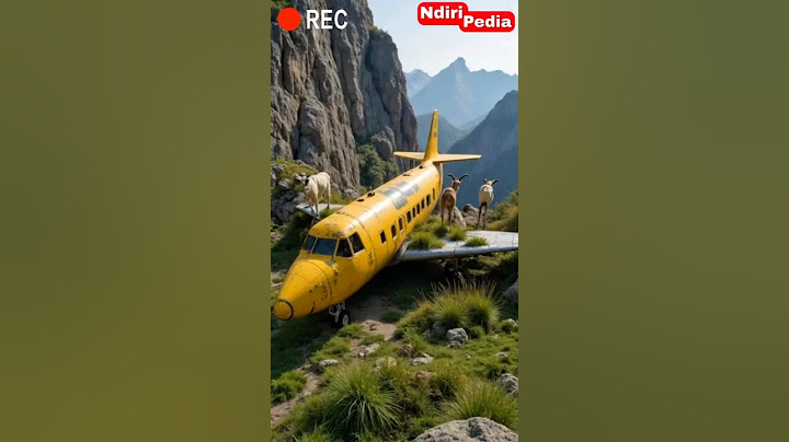 Abandoned Private Jet Used as Wild Goats Home!💥🐏#mountaingoat #ibex