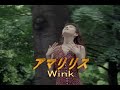 (カラオケ)アマリリス /WINK