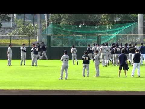 平成23年11月12日オリックス秋季キャンプ　朝のランニング