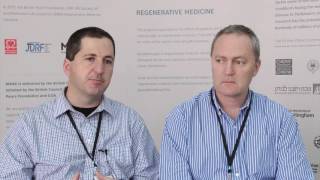 Regenerating the liver using a patient’s own stem cells