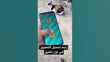 طريقه التحدث مع القطط بطريقه بسيطه وساهله 