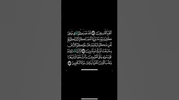 سورة التوبة #quran #قرآن #قران #قرآن_كريم #اكسبلور #لايك #quranic