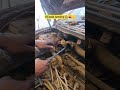 oil paip opening 🧑🔧🚘👍#trendingshorts #automobile #viralvideo #mechaniclife #lifeisbutadream