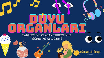 DUYU ORGANLARI A1-TÜRKÇE (Yabancı Dil Olarak Türkçe Öğretimi)