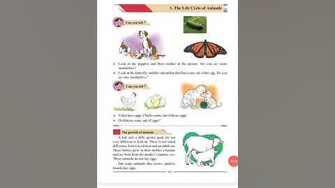 Std 4th environmental studies chap 1 the life cycle of animal(2)