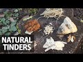 10 Ways to Make Fire - Natural Tinders