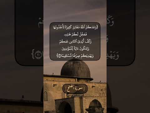 سورة الفتح الآية ١٨ الى ٢٠ بصوت الشيخ محمد صديق المنشاوي