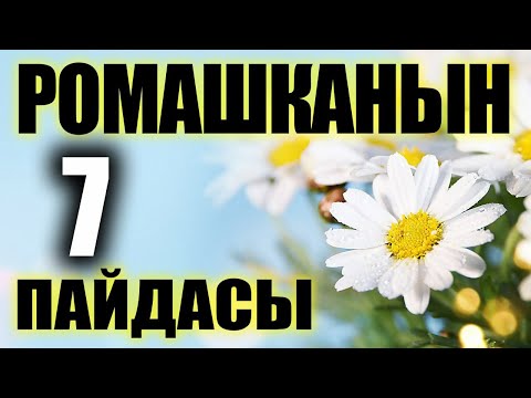 Video: Ромашканы кургатуунун 3 жолу