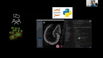 How to share reproducible and easy to set up Python bioimage analysis pipelines using Pixi