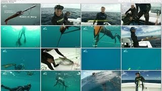 Подводная охота на тунца часть2 Spearfishing tuna  part2