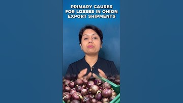 Primary causes for losses in Onion Export Shipment!! #kdsushma #exportimport #export #losses #onion