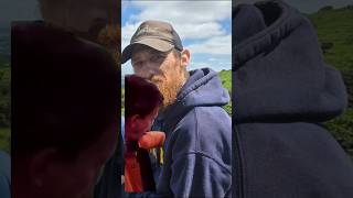 Famous #funny #funnyshorts #funnycomedy #justforlaughs #jeremyclarkson  @GunniboysExplorers Profile