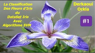  1 Svm Avec Python Et Le Dataset Iris