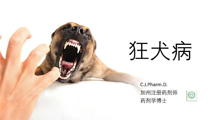 中國是狂犬病疫區。被狗咬以後，該如何正確治療狂犬病？十日觀察期科學嗎？ - 天天要聞