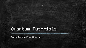 Decision Model Notation - Introduction and Example 1 - Part 1