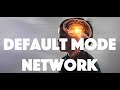 Default mode network  dmn 