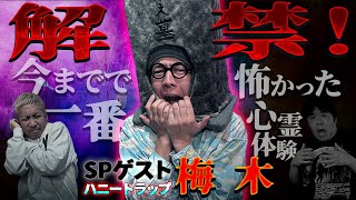 【生フシギ】緊急ゲスト:ハニトラ梅木さん登場❗️怪談ライブ配信が今宵もスタート⛩️【ナナフシギ】【怖い話】