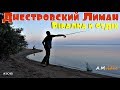 Днестровский Лиман. Рыбалка и отдых на природе, лето 2018