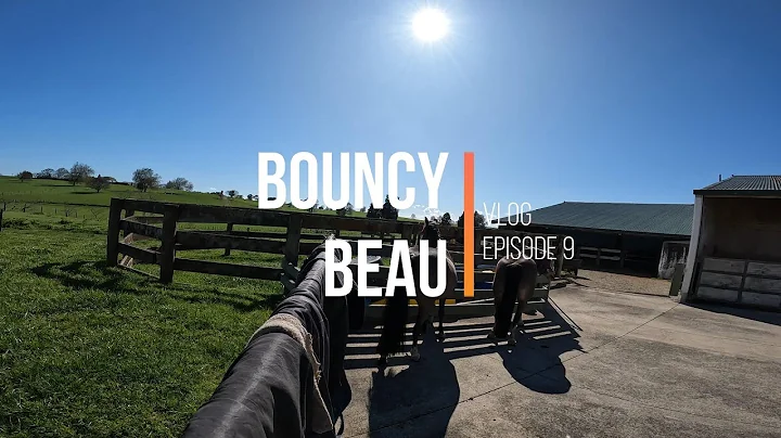 Driving the Pair, and a Very Bouncy Beau - Vlog Ep...